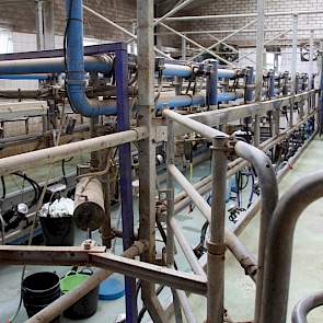 De 2 x 8 melkput in de oude stal verwerkt momenteel 250 koeien, wat 4 uur per melkbeurt in beslag neemt.