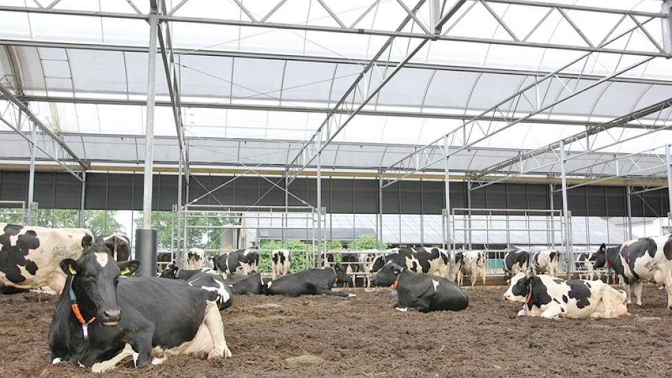 Als bodemmateriaal gebruikt Hartman houtsnippers. Om het droog te houden is een nieuw beluchtssysteem in gebruik dat niet blaast maar zuigt. Niet alleen wordt zo de vochtige lucht afgezogen, ook wordt de stikstof in het hout gezogen waar het zich in theor
