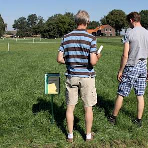 Melkveehouders Harry en Hans Jansen zijn geïnteresseerd in de grasmengsels met klaver, voor beweiding. Het valt hen op dat de rode én de witte klaver nauwelijks of niet zichtbaar zijn op de verschillende perceeltjes in Vredepeel. „De klaver zou zich, juis