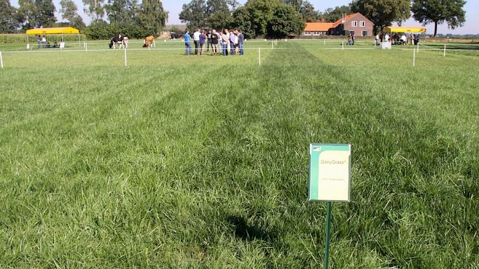 Spuiwater toepassen op grasland kent vooral haken en ogen. „Met een zwaveltekort op lichtere zandgronden is het niet verkeerd om met spuiwater van een chemische luchtwasser te bemesten, maar pas op”, waarschuwt een projectleider van Agrifirm zijn publiek.