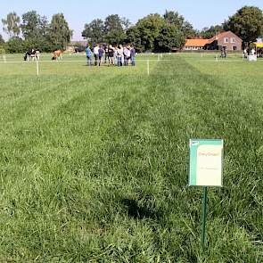 Spuiwater toepassen op grasland kent vooral haken en ogen. „Met een zwaveltekort op lichtere zandgronden is het niet verkeerd om met spuiwater van een chemische luchtwasser te bemesten, maar pas op”, waarschuwt een projectleider van Agrifirm zijn publiek.