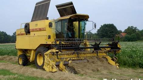 Graszaadteelt